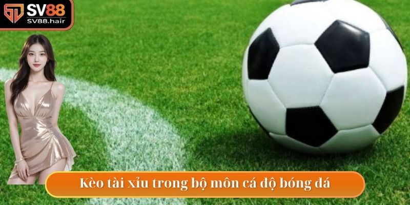 Kèo Tài Xỉu