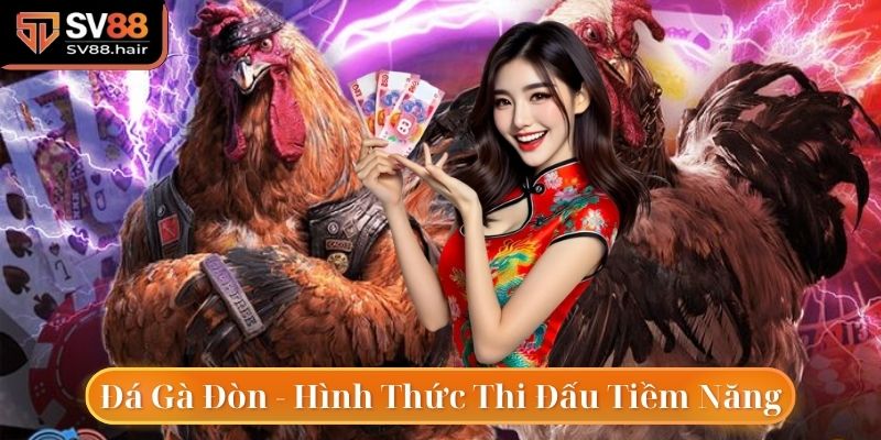 Đá Gà Đòn