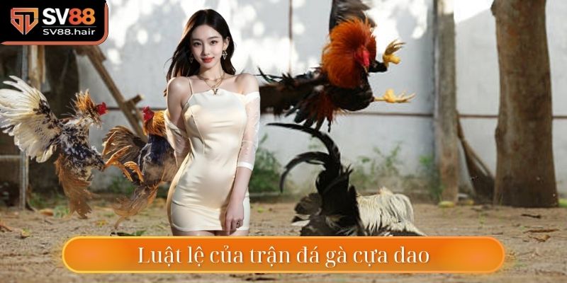 Luật lệ của trận đá gà cựa dao tại SV88